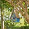 Set of 2 9.5''H Distressed Solid Wood Decorative Outdoor Garden Birdhouse with Natural Wood Slatted Roof and 3D Tree
